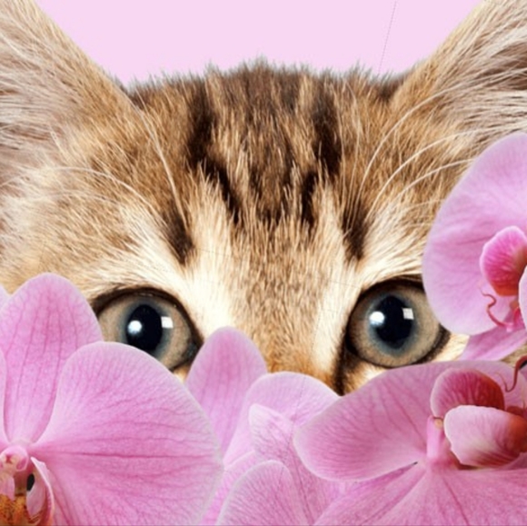 Meet your Posher, Heather - Picture 2 of 2